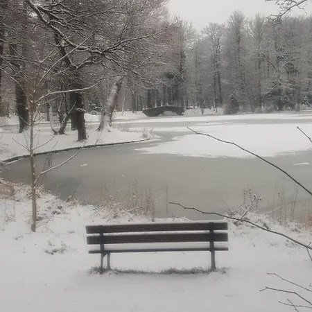 Διαμέρισμα Goscinne Uzdrovisco Cieplice